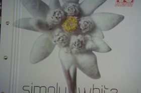 AS Creation - Simply White 2